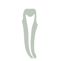 Dental Clinic Dr Godoy
